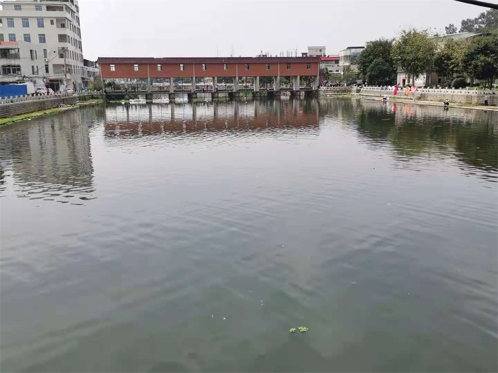 微光太能陽(yáng)景觀燈效果02